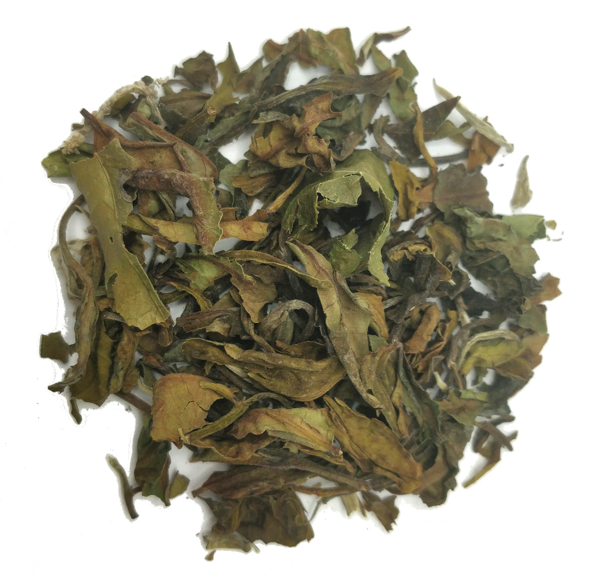 Bai Mu Dan - White Loose Tea